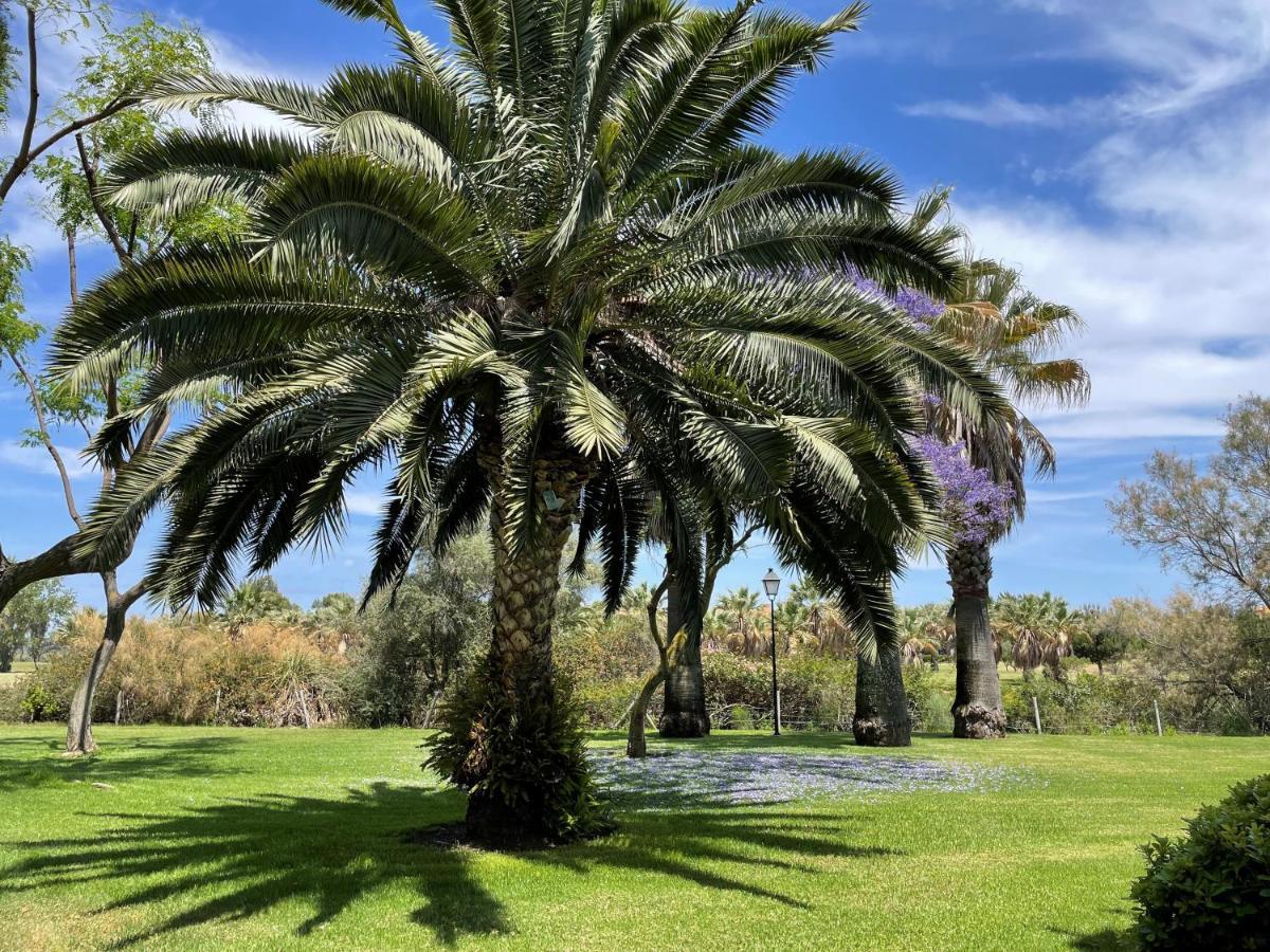 Golf, Kitesurf, Tennis, Paddle, Free Bicycles - Apartment Andalusia Isla Canela Extérieur photo